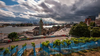 (妖灵契约手游)探索妖灵契约的秘密：古老传说与现代奇幻的交织之旅