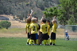 (探索小岛的游戏)前几年那个引起轰动的小岛探险冒险游戏