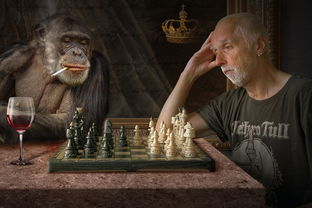魔幻厨房游戏改名新选择：寻找更适合的游戏名称能带来怎样的奇幻体验？