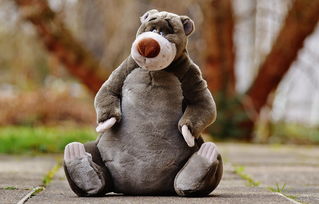 (精灵萌宝贝礼包兑换码)深入解析精灵萌宝贝宝珠：从宝宝的角度揭秘其魅力与教育功能