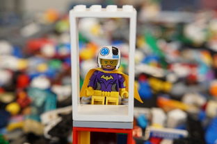 探秘明教风云之九阴九阳攻略，绝学秘籍揭秘，绝不容错过的顶级战略指南