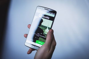 (苹果手机与电脑连接app)详细步骤：苹果5手机如何通过电脑软件成功连接与同步数据指南