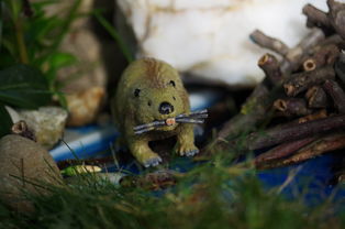 (三国乱世争霸攻略)三国乱世霸王:纷争蔓延,英雄辈出,何人能称霸? (三国乱世争霸攻略)三国乱世霸王:纷争蔓延,英雄辈出,何人能称霸?