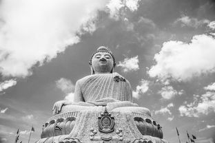 深度解析江湖动荡含义：探讨古代武侠世界里的社会动乱及其对个体命运的影响
