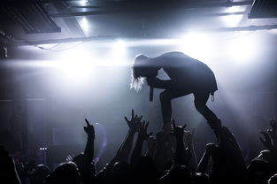 (寻找线索解谜)探寻线之迷惑攻略：解密线索，披荆斩棘，揭开谜底