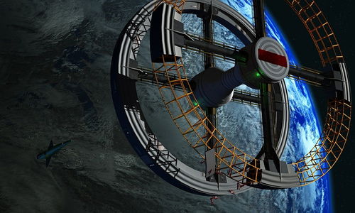 (跳跳鱼世界百度百科)探索跳跳鱼世界真人版：沉浸式体验与奇幻冒险的完美结合