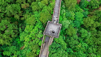碧血青山：探索自然之美，感受历史深厚，品味身临其境的文化之旅