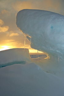 (白夜极光colossus)白夜极光图鉴大全：探寻北极与南极冰雪之美