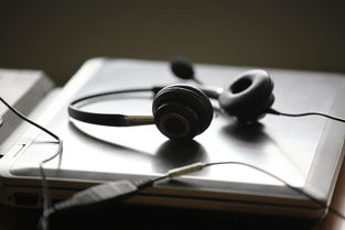(电脑插耳机没有声音怎么回事win10)当你的电脑插上耳机却没有声音时，Windows 11如何快速解决音频问题？