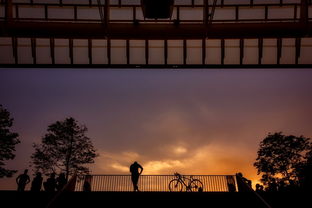 新鲜出炉!全方位解析'闯出去吧'手游攻略,助你快速掌握胜利秘籍 新鲜出炉!全方位解析'闯出去吧'手游攻略,助你快速掌握胜利秘籍