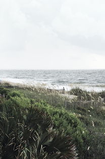 2024《风影手游》最强阵容大揭秘！打造无敌战队引领新一轮游戏风潮