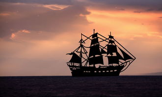 (开局绝地求生系统)开局县令带领大家逃荒:绝地求生的生存之旅 (开局绝地求生系统)开局县令带领大家逃荒:绝地求生的生存之旅