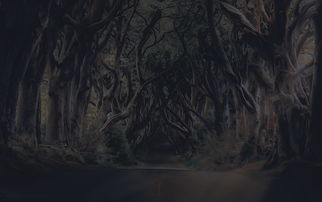 (大话西游手游2官网首页)探寻大话西游手游2官网，精彩续篇等你揭晓