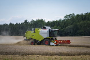 幻灵师现已改名为梦境操控者，这背后隐藏着怎样的故事和意义？