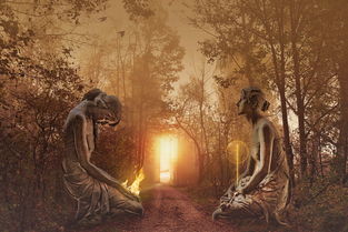 (源灵大陆)探寻神秘世界之源，源灵战纪动画带你领略奇幻冒险的无尽魅力