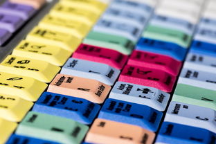 (寻访仙山)探寻仙山迷踪:寻找长生之路 (寻访仙山)探寻仙山迷踪:寻找长生之路