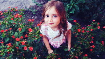 (枪林弹雨在线阅读)纵论枪林弹雨:百度百科全面解析这个殊死战场中的重要概念 (枪林弹雨在线阅读)纵论枪林弹雨:百度百科全面解析这个殊死战场中的重要概念