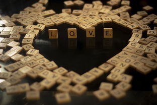 乔梁叶心仪的最新超前章节阅读全文：打造完美局势，筹谋未来计划