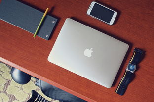 (枪林弹雨在线阅读)纵论枪林弹雨:百度百科全面解析这个殊死战场中的重要概念 (枪林弹雨在线阅读)纵论枪林弹雨:百度百科全面解析这个殊死战场中的重要概念