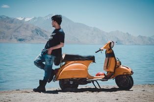 (冰雪单职业07072)探索冰雪单职业的魅力：冰封世界中的冒险与挑战
