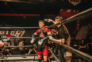 (养成手游排行榜2020前十名)2021年最热门的十大养成手游排行榜揭晓，快来看看排名如何！