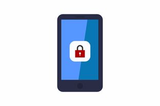 探究手机电脑版浏览器的特点与优势，如何选择最适合的浏览器？