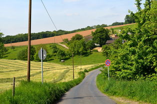 群英召唤师丢失的金苹果:寻找失落的神秘宝藏谜题 群英召唤师丢失的金苹果:寻找失落的神秘宝藏谜题