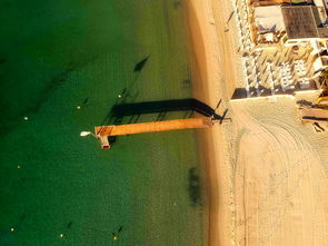 乌尤利夫的处方笺：一位深受尊敬的医者和冒险者，身世与使命交织的角色介绍