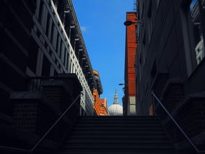 新天上碑台服：探索古老的文化符号与现代社会的融合之道