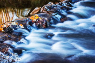 (山海经异兽录30连抽怎么抽到16资质的)揭秘《山海经异兽录》神秘抽17诀窍,让你成为高手! (山海经异兽录30连抽怎么抽到16资质的)揭秘《山海经异兽录》神秘抽17诀窍,让你成为高手!