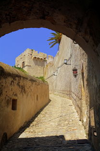 (诺格加尔)探索诺加尔德单机版：带你体验独特的冒险世界与游戏魅力