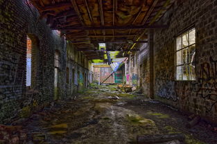 《弹壳特攻队》免费无限充值版玩法解析与攻略：畅享无敌体验，轻松获取资源！