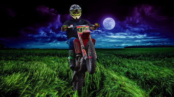 超多武器大冒险无广告：探索无限可能，享受纯粹乐趣的激爽旅程！