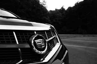 异世界游记：强化召唤师技巧的关键步骤与策略，提升冒险实力的全面解析