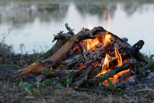 (单机捕鱼达人无限金币下载)单机游戏推荐：捕鱼达人1单机版，体验真实刺激的海底捕鱼乐趣