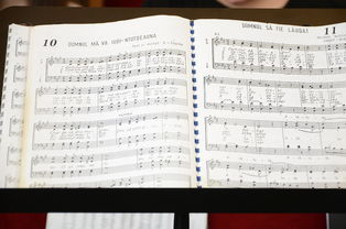 (轴音旋律)探讨乐句轴音含义及其在音乐创作中的重要作用