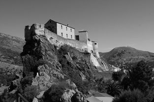 这城有点田升星：探寻城市农业发展新模式，打造可持续绿色生态城市