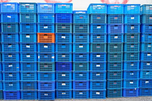 废土行动免疫道具在哪？如何获取和使用这些免疫道具？详细解析