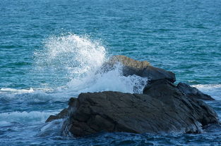 时空旅人白日看月：穿越时光的旅程，探寻宇宙奥秘，寻找月球的秘密之旅