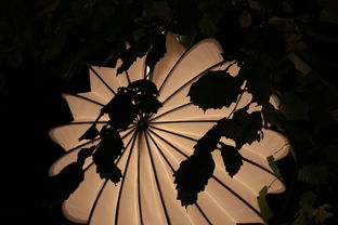 抖音风之骑士团：燃情舞台上的时尚战士，引领时尚潮流的新风向