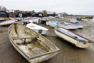 航海日记2攻略：游戏经验分享与技巧大揭秘，助你驾驶船只探索无尽海域