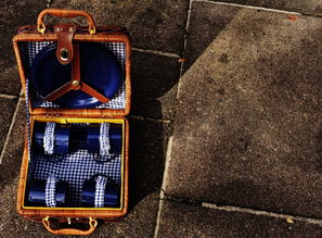 宋凯在结束对荷兰、英国的考察访问后，成功抵达厦门，将就互联网企业创新发展进行深入交流