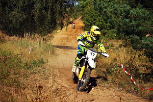 再战online车炮详细参数：全面解析在线游戏车炮的技术规格和性能特点