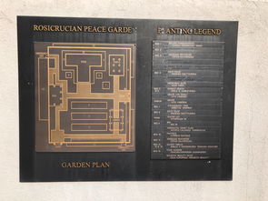 (爱在进行时免费阅读全文)爱在进行时短剧:时光里最真实的情感交织 (爱在进行时免费阅读全文)爱在进行时短剧:时光里最真实的情感交织
