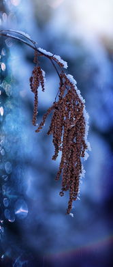 (无尽寒冬手游)《无尽冬日》霸榜微信小游戏，冬日尽头，挑战无穷！