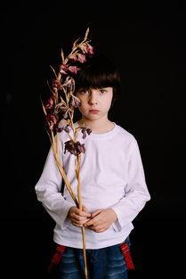 (青云诀2伏魔区下载)揭秘青云诀之伏魔激活码：获取方法与使用指南全解析