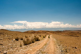 大侠不哭：高手玩家揭秘终极武器装备选择技巧与策略