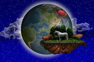 (虚空风暴的矿点)探究虚空风暴采矿路线：提升矿物收益的科学规划与实践操作