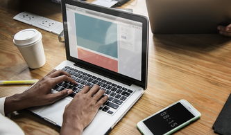 深度解析：'雪鹰领主'境界划分影响角色成长与剧情进展的重要性