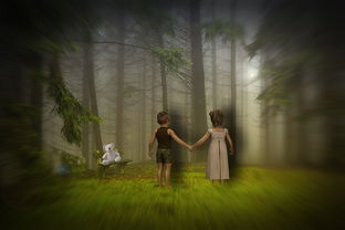 (迷失的森林路线)迷失的魔法森林在哪里？穿越幻想之境，探寻神秘世界的秘密